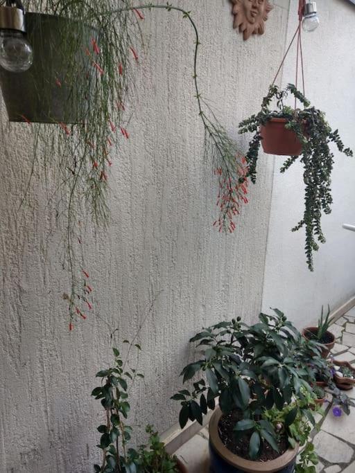 Guest House More 里耶卡 外观 照片